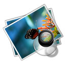 手機(jī)網(wǎng)站建設(shè)多少錢